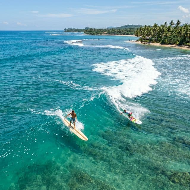 Longboarding vs Shortboarding in Arugam Bay: Which is Better?
